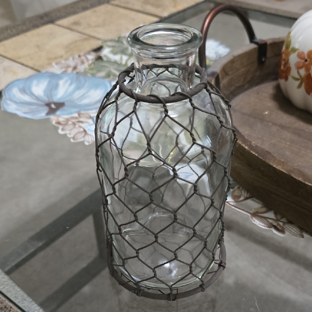 Rustic Glass Vase with Wire Netting